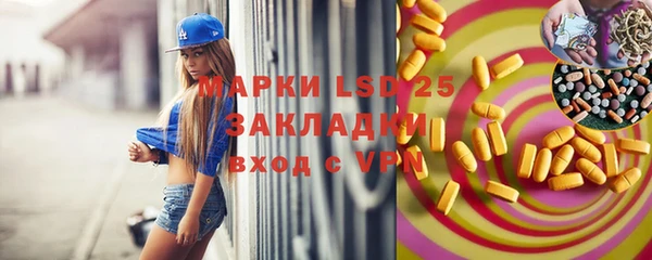 стафф Аркадак
