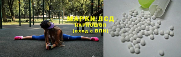стафф Аркадак