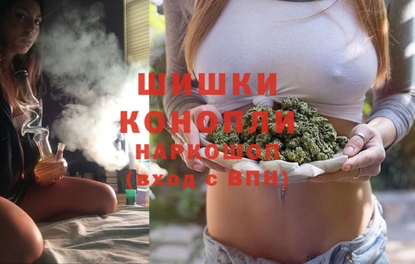 стафф Аркадак