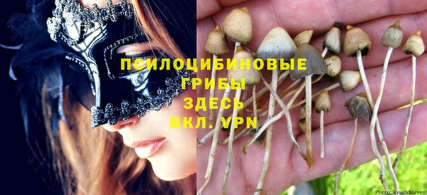 прущие крисы Арсеньев