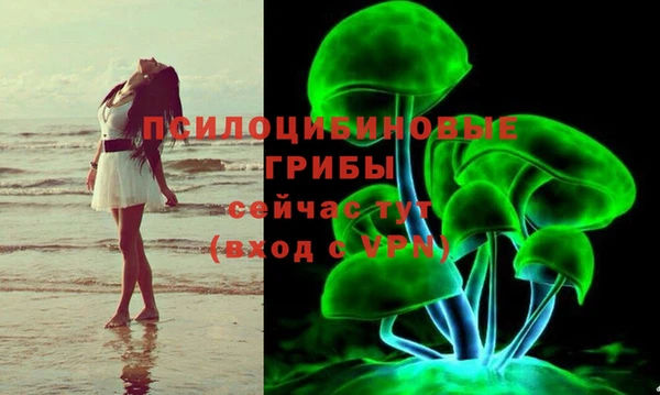 мескалин Армянск