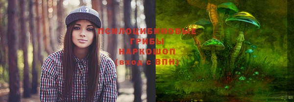 стафф Аркадак