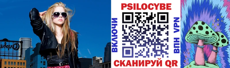 Псилоцибиновые грибы Psilocybe  Дюртюли 